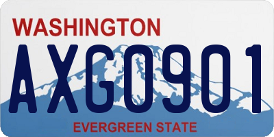 WA license plate AXG0901