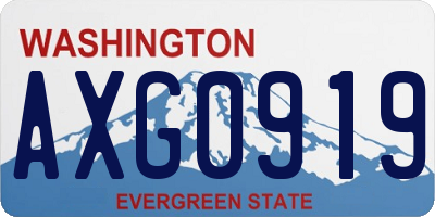 WA license plate AXG0919