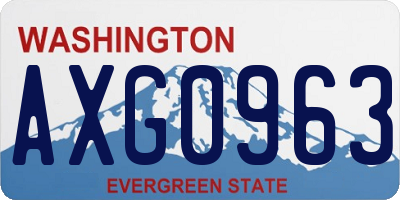 WA license plate AXG0963