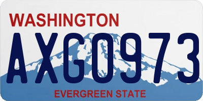 WA license plate AXG0973