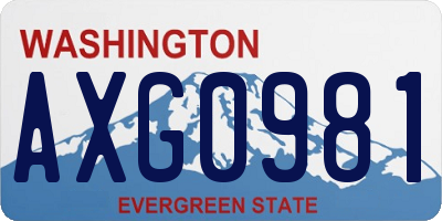 WA license plate AXG0981