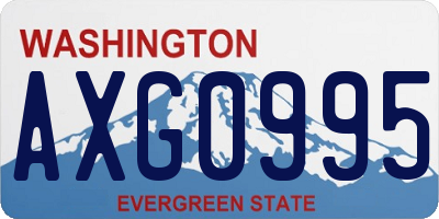 WA license plate AXG0995