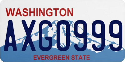 WA license plate AXG0999