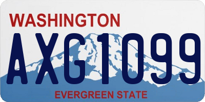 WA license plate AXG1099