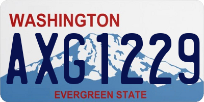 WA license plate AXG1229