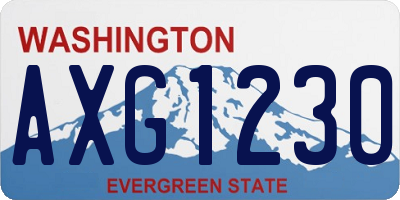 WA license plate AXG1230
