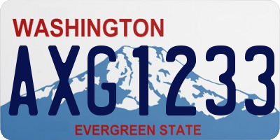 WA license plate AXG1233