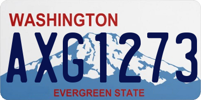 WA license plate AXG1273