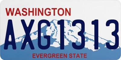 WA license plate AXG1313