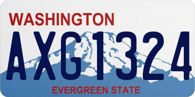 WA license plate AXG1324