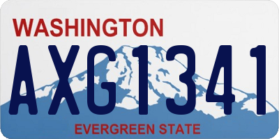 WA license plate AXG1341