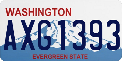 WA license plate AXG1393