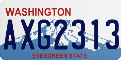 WA license plate AXG2313