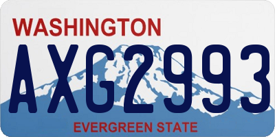 WA license plate AXG2993