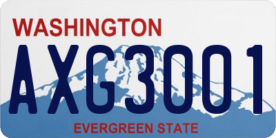 WA license plate AXG3001