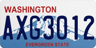 WA license plate AXG3012