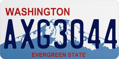WA license plate AXG3044