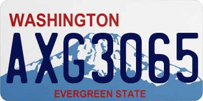 WA license plate AXG3065
