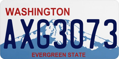 WA license plate AXG3073