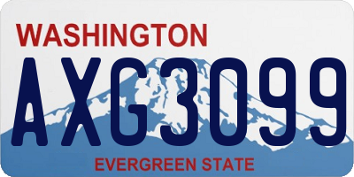 WA license plate AXG3099