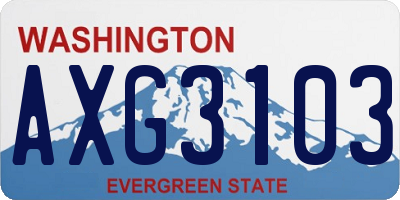 WA license plate AXG3103