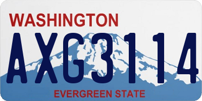WA license plate AXG3114