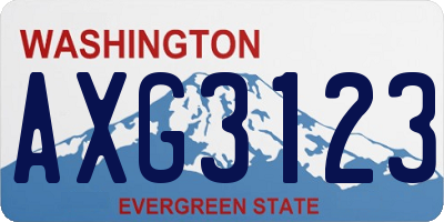WA license plate AXG3123