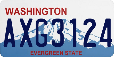 WA license plate AXG3124