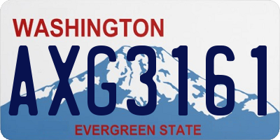 WA license plate AXG3161