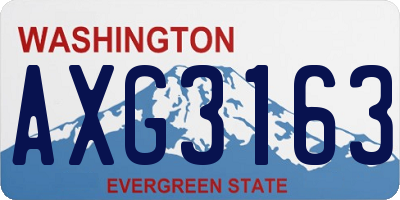 WA license plate AXG3163