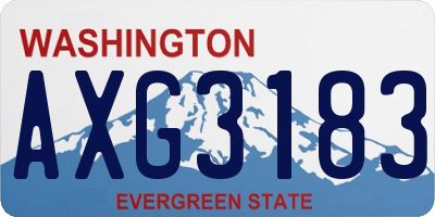 WA license plate AXG3183