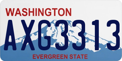 WA license plate AXG3313