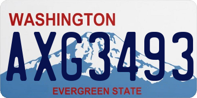 WA license plate AXG3493