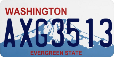WA license plate AXG3513