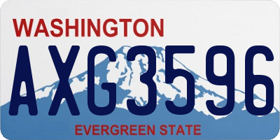 WA license plate AXG3596