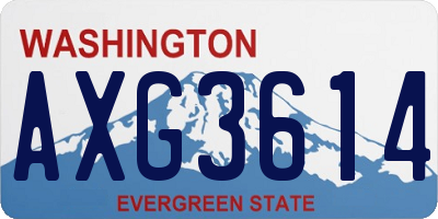 WA license plate AXG3614