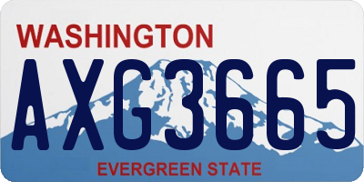 WA license plate AXG3665