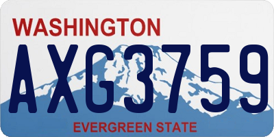 WA license plate AXG3759