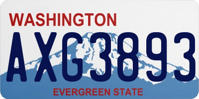 WA license plate AXG3893