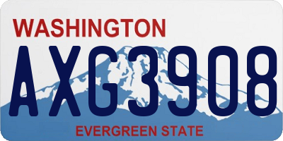 WA license plate AXG3908