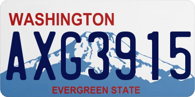 WA license plate AXG3915