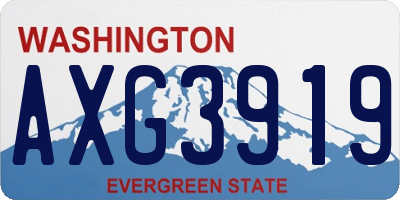 WA license plate AXG3919