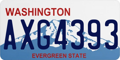 WA license plate AXG4393
