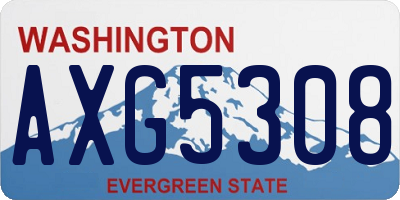 WA license plate AXG5308