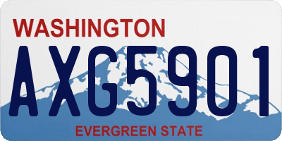 WA license plate AXG5901