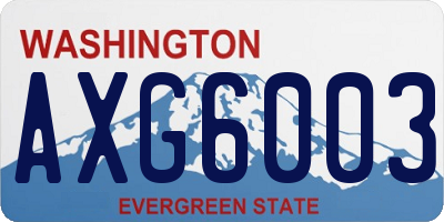 WA license plate AXG6003