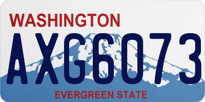 WA license plate AXG6073