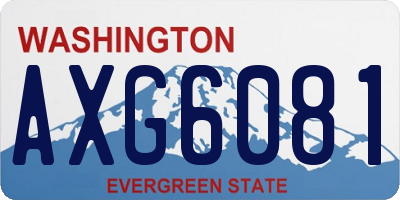 WA license plate AXG6081