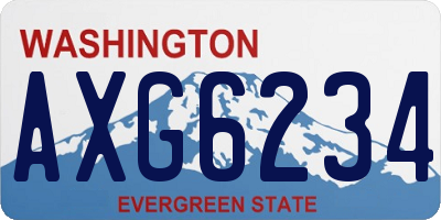 WA license plate AXG6234