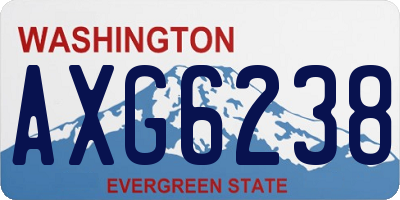WA license plate AXG6238